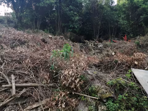 Sistemazione assetto idrogeologico terreno Via Terpi zona retrostante Macelli