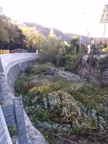 Situazione alveo pre pulizia tratto 2