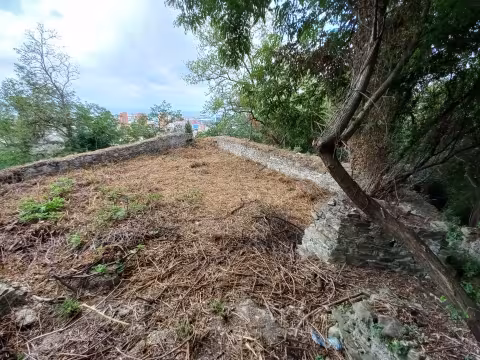 Restauro e valorizzazione del Sistema dei Forti e della Cinta Muraria: Forte Belvedere