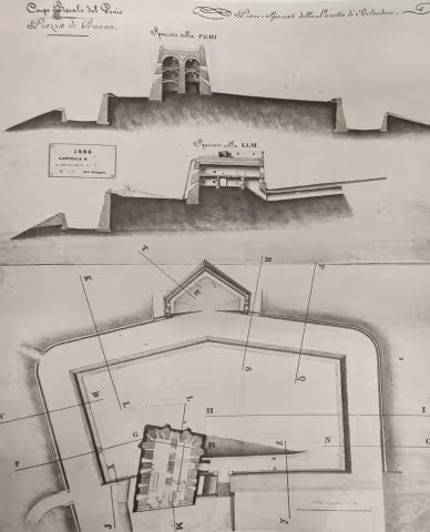 Storico disegni