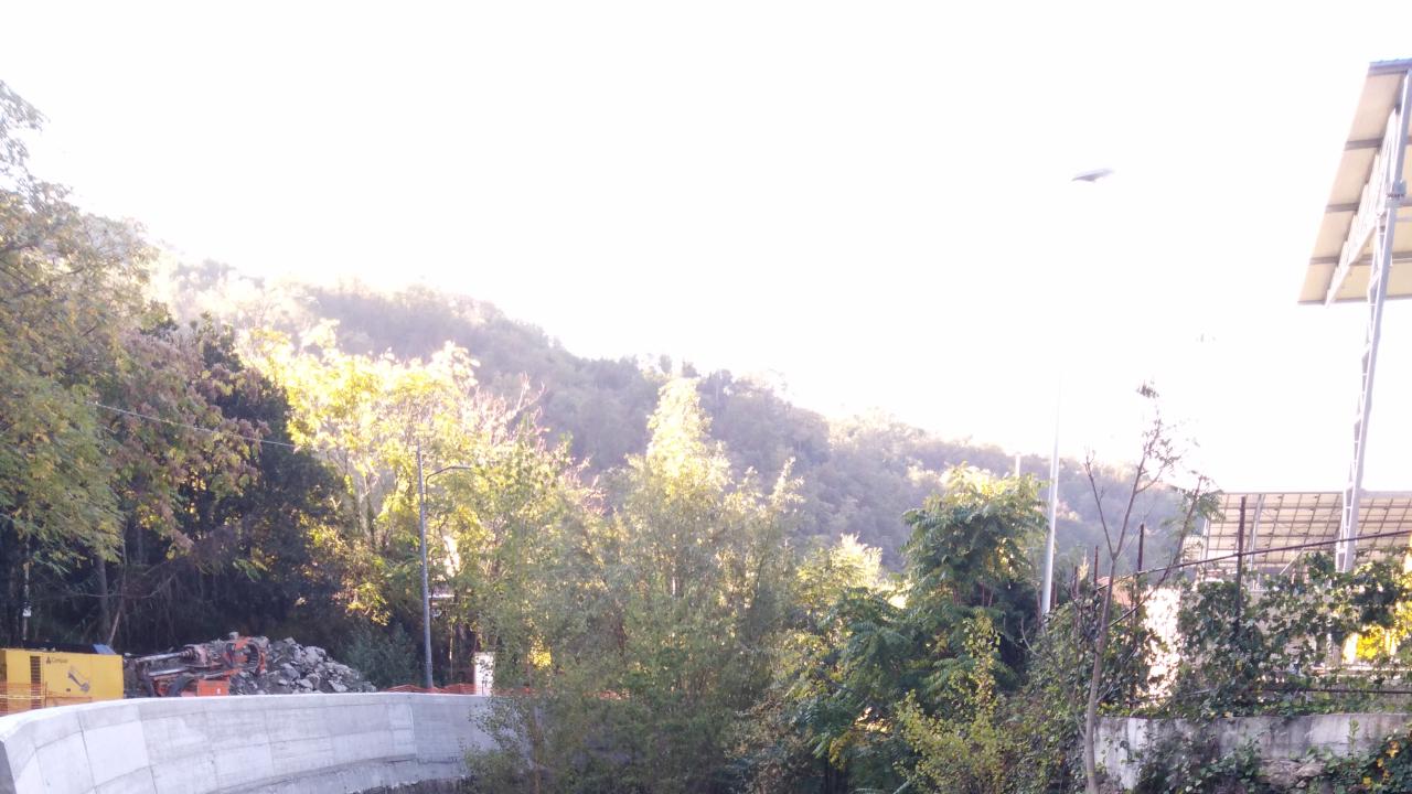 Situazione alveo pre pulizia tratto 2