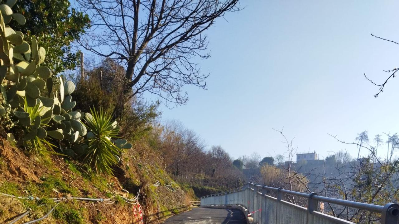Interventi di messa in sicurezza del tratto terminale di Via superiore Razzara a Genova in Val Varenna: situazione post lavori