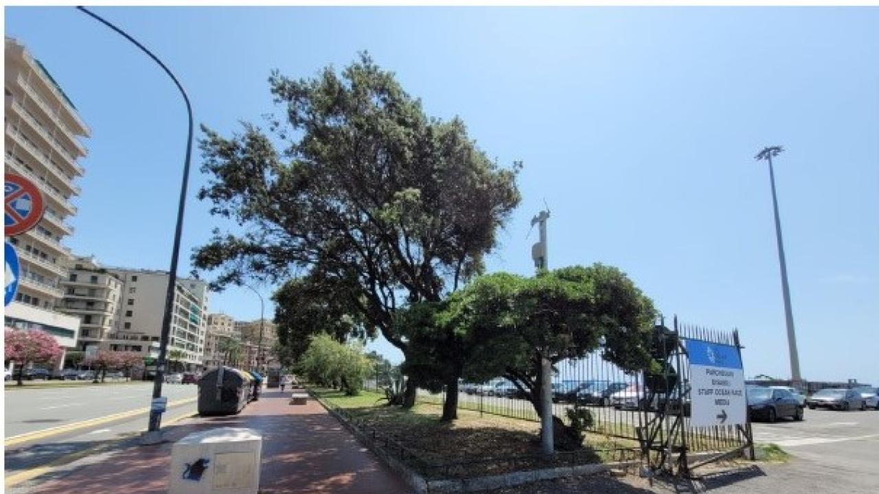 Waterfront di Levante: recupero - Piazzale Kennedy: viste stato di fatto