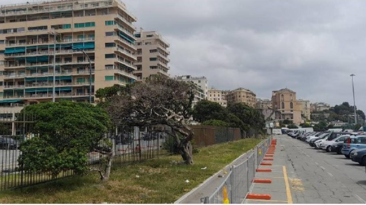 Waterfront di Levante: recupero - Piazzale Kennedy: viste