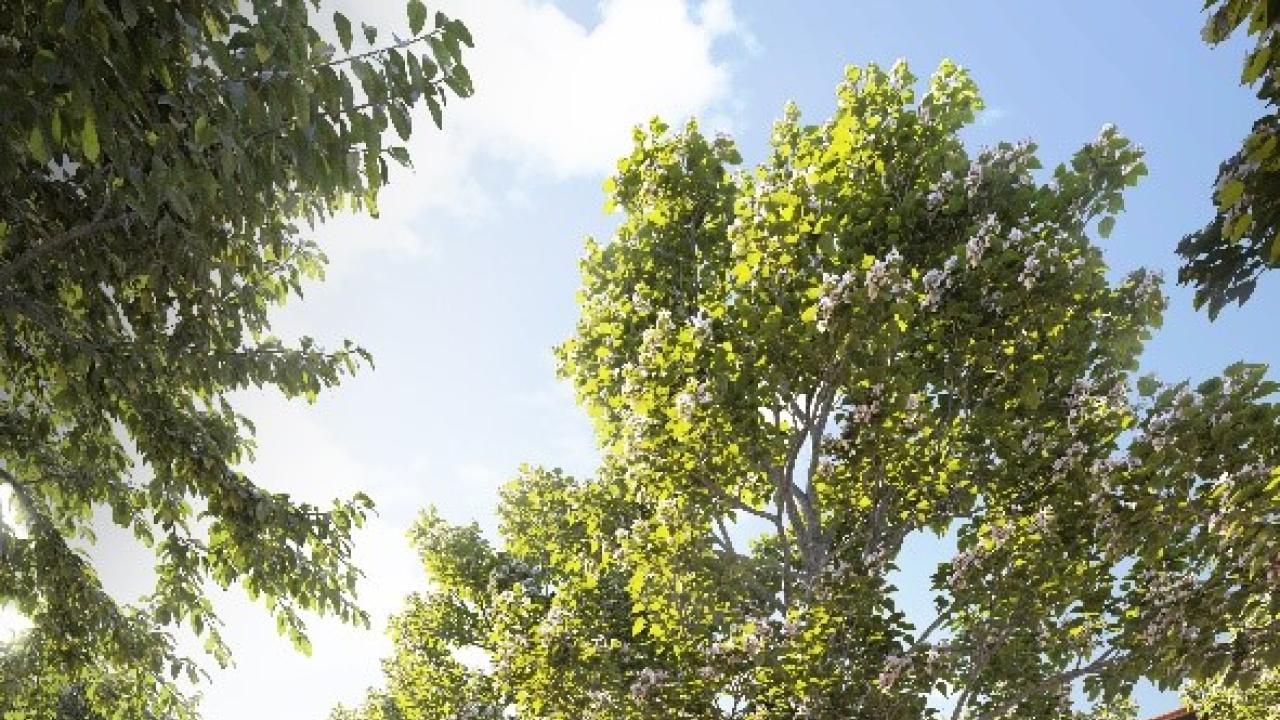 Lungomare Canepa: render