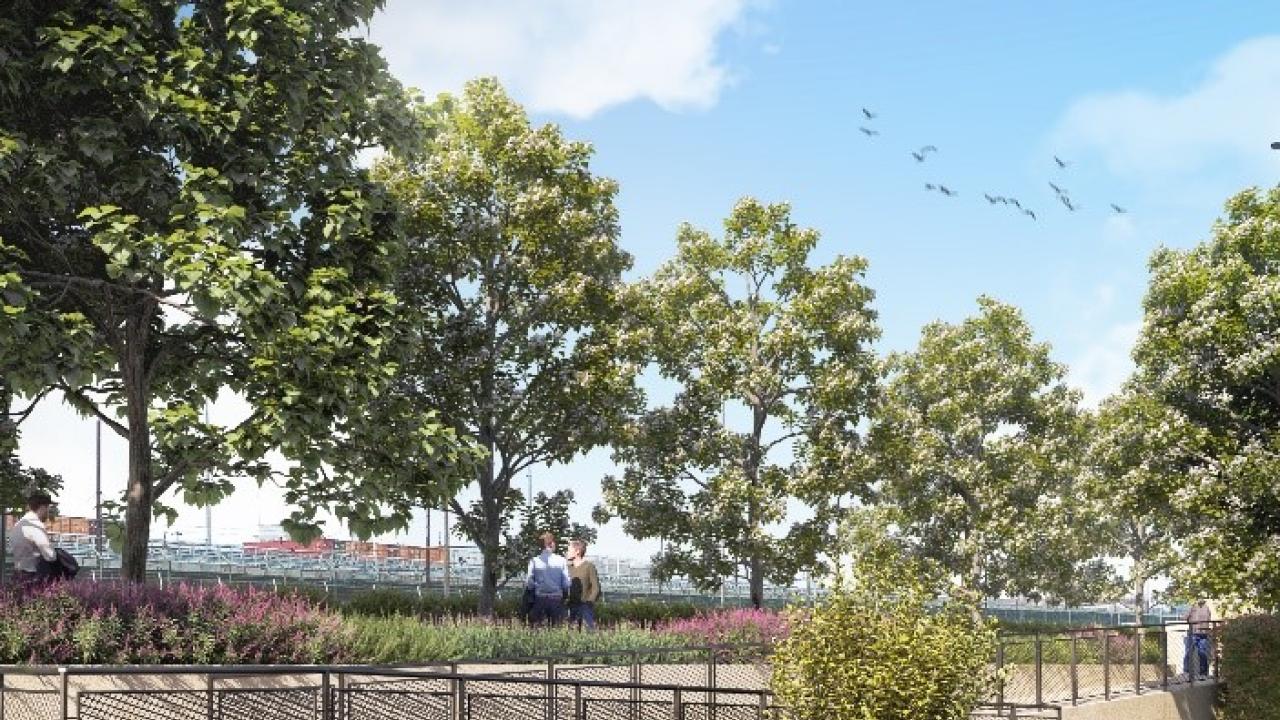 Lungomare Canepa: render