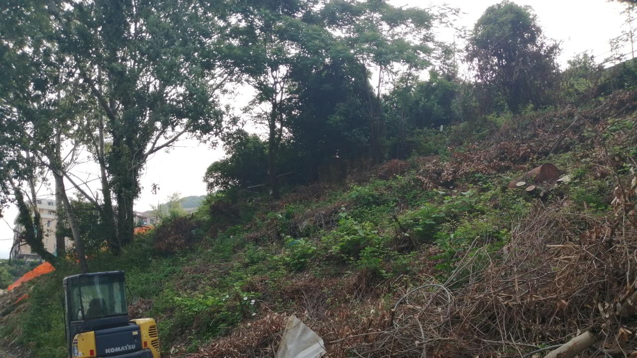 Sistemazione assetto idrogeologico terreno Via Terpi zona retrostante Macelli