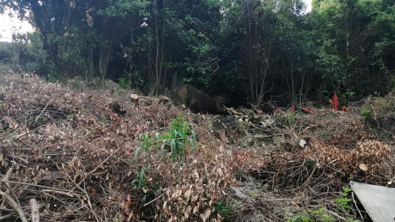 Sistemazione assetto idrogeologico terreno Via Terpi zona retrostante Macelli