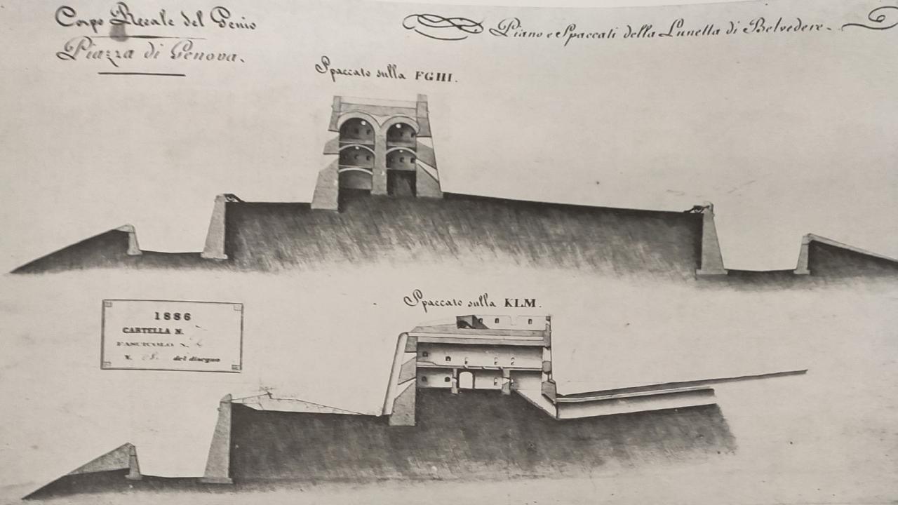 Storico disegni