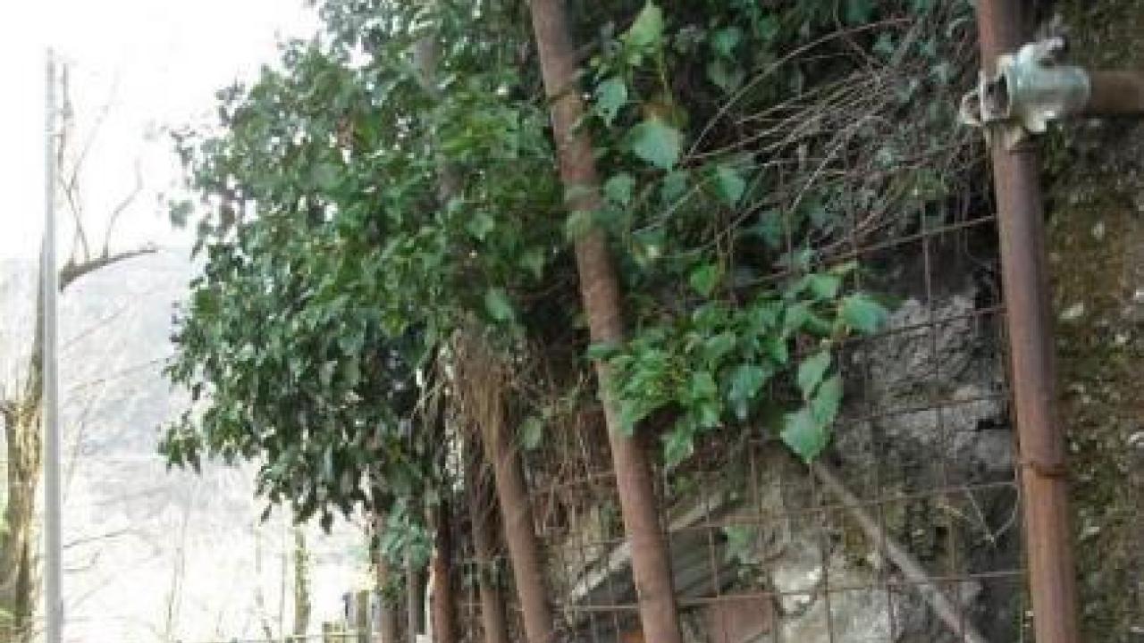 Area F, Via Montelungo: muro crollato